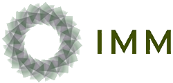 IMM - International Market Management